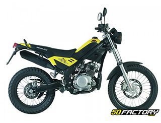 RIEJU Tango 125 von 2007 zu 2017